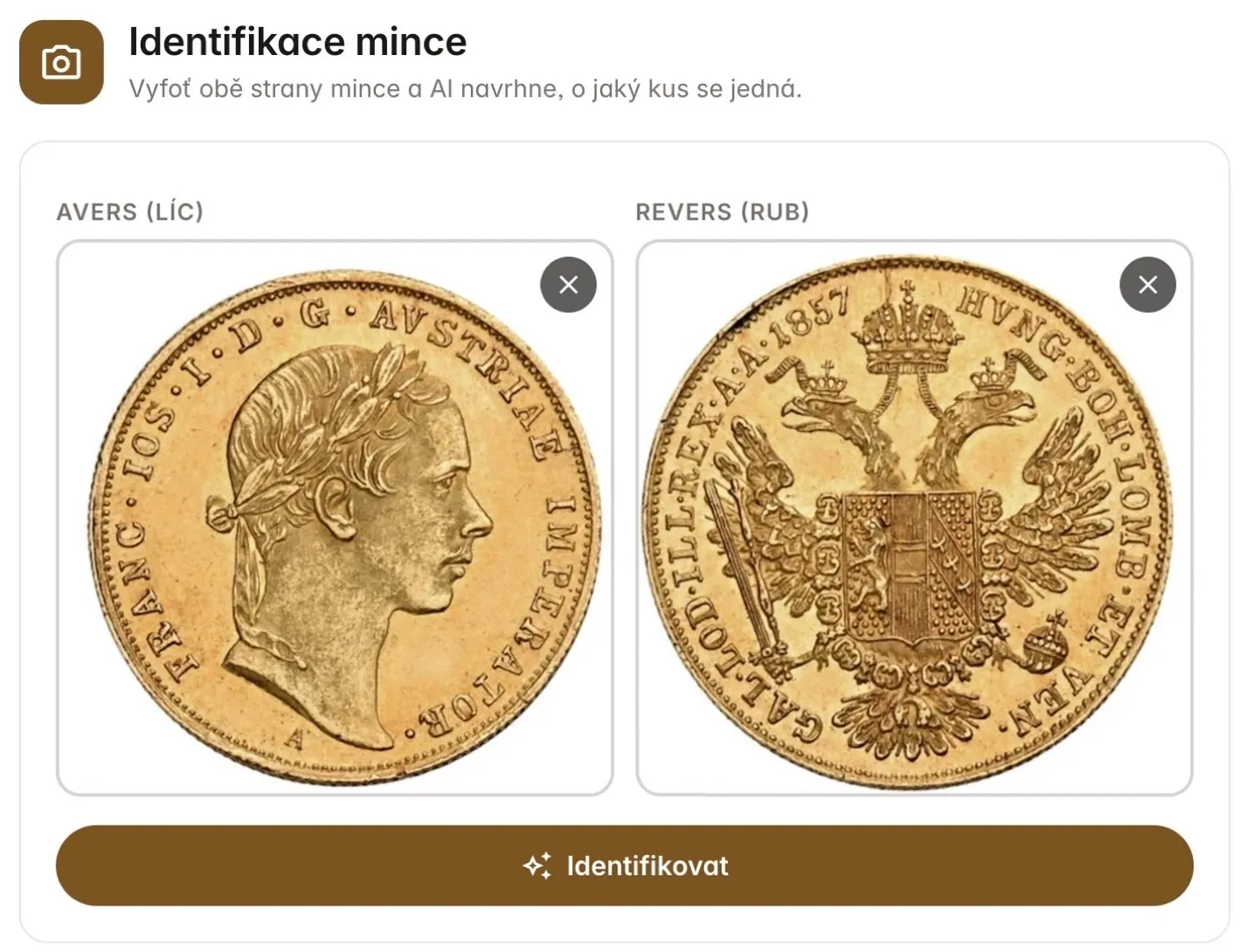 Identifikace mince – vložené fotky lícové a rubové strany před identifikací